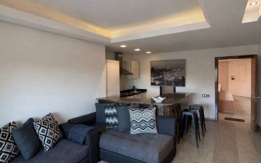 Appartement à vendre – Victor Hugo
